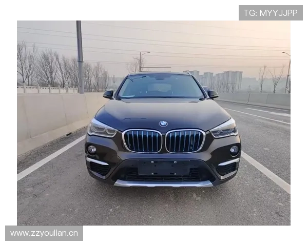 110km纯电续航!2025款宝马X1插混深度评测:真香还是续航虚标?