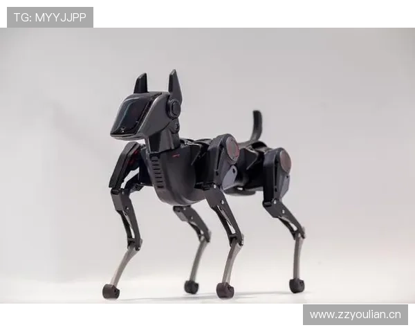 1299美元!重庆哮天Sirius智能机器狗开启全球预售