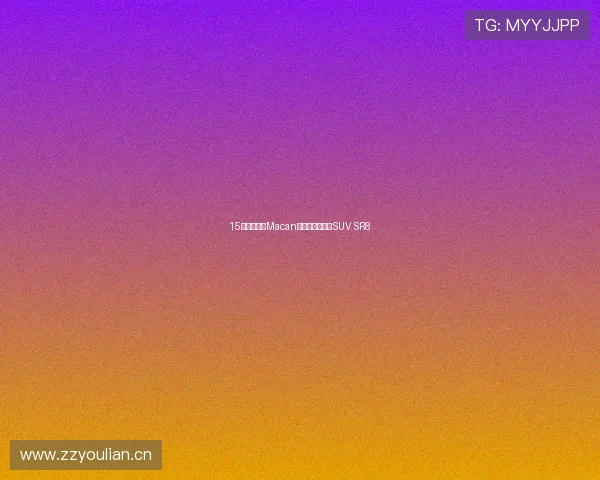 15万买保时捷Macan？众泰自曝全新SUV SR8